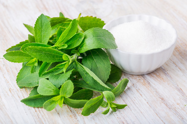 All Natural Stevia